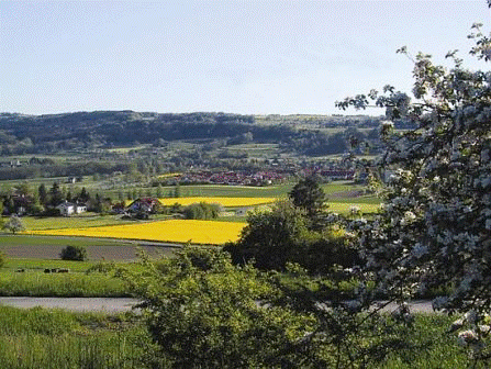 Blick auf Wilhelmsdorf