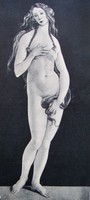 Venus Boticelli
